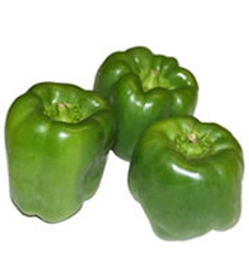 CAPSICUM GREEN TAG 1 KG