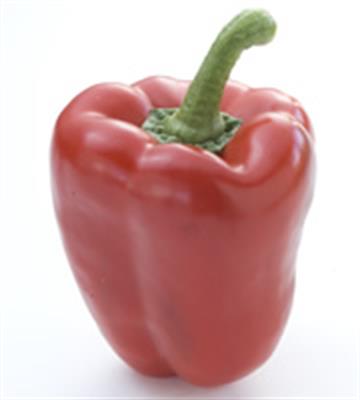 CAPSICUM RED TAG 1 KG