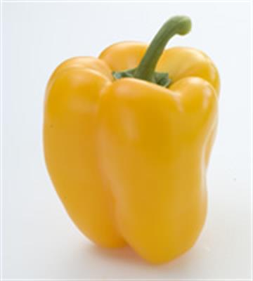 CAPSICUM YELLOW TAG 1 KG