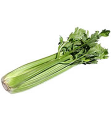 CELERY EACH