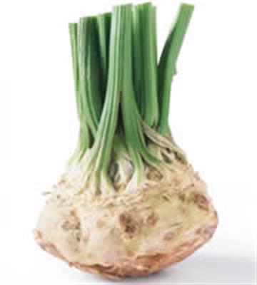 CELERIAC (WHOLE) KG