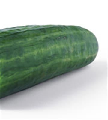 CUCUMBER TELEGRAPH TAG 2 KG