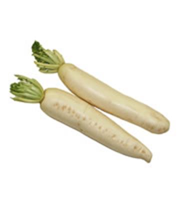 DAIKON KG