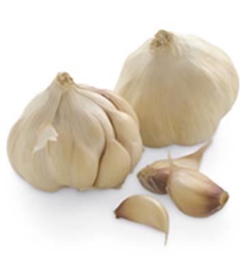 GARLIC KG