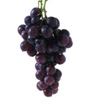 GRAPES BLACK SEEDLESS KG