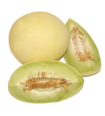 HONEYDEW MELON EACH