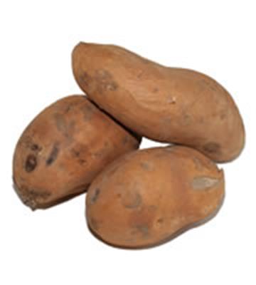 KUMARA GOLD KG