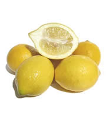 LEMON STANDARD KG