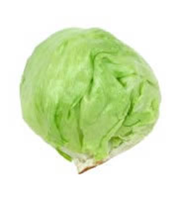 LETTUCE ICEBERG EACH