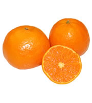 MANDARIN KG