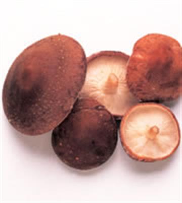 MUSHROOM SHITAKE 100GM PUNNET