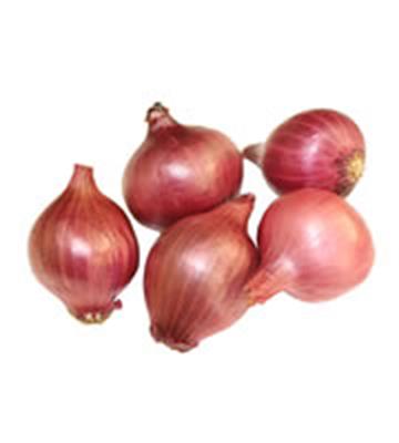 ONION RED KG