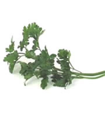 PARSLEY ITALIAN 100GM BAG