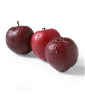 PLUM KG