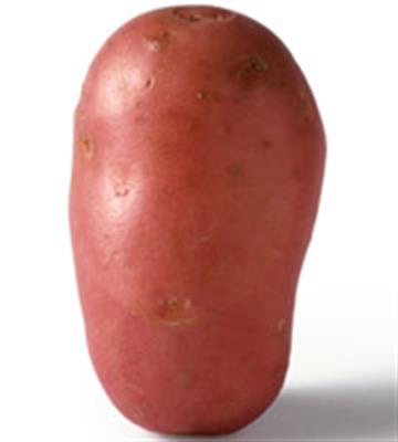 POTATO RED WASHED LARGE KG