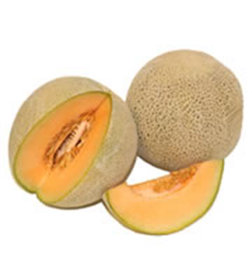 ROCKMELON EACH