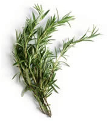 ROSEMARY 100GM BAG