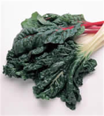 SILVERBEET KG