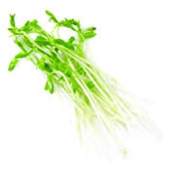 SNOWPEA SHOOTS 100GM PUNNET