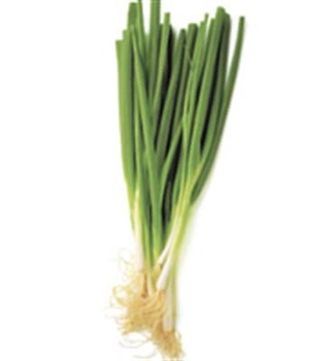 SPRING ONION LOOSE KG