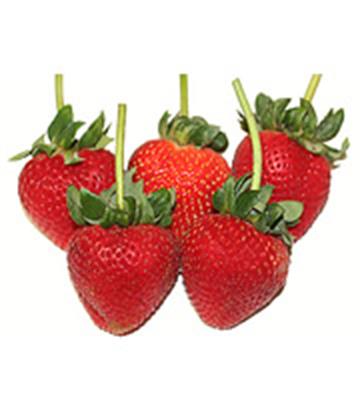 STRAWBERRIES 250GM PUNNET