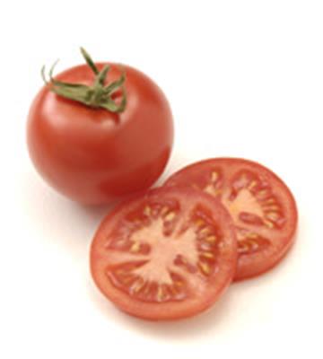 TOMATO 50 60 KG