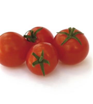 TOMATO CHERRY RED PUNNET