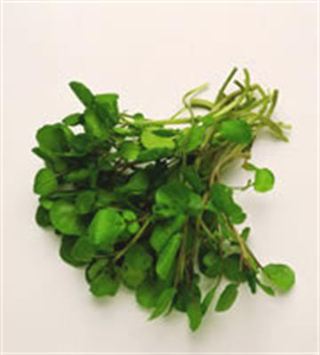 WATERCRESS BAG