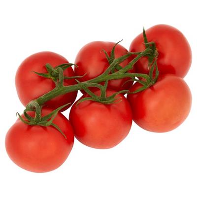 TOMATO VINE LARGE KG