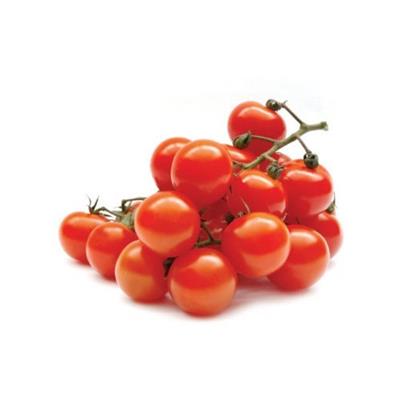 TOMATO CHERRY MIXED PUNNET