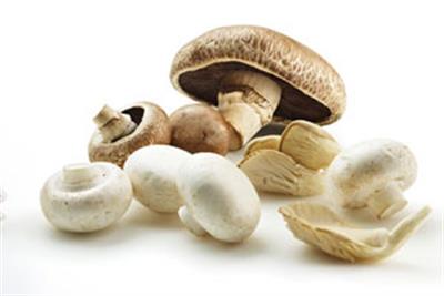 MUSHROOM MARKET MIX KG