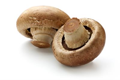 MUSHROOM BROWN MARKET MIX KG