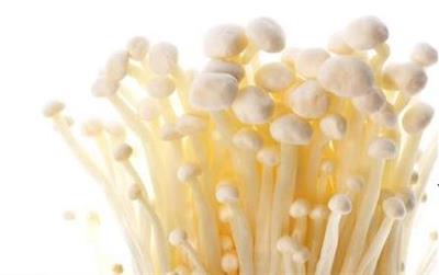 MUSHROOM SNOW NEEDLE 100GM PUNNET