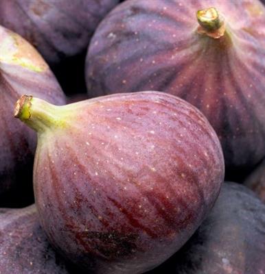 FIGS EACH