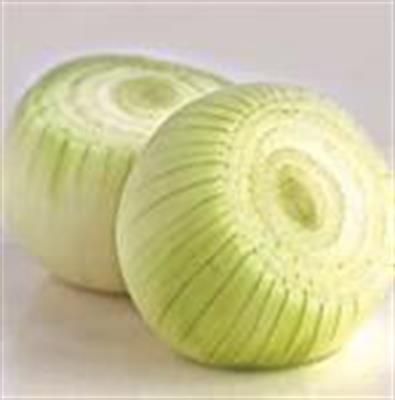 ONION WHITE PEELED KG