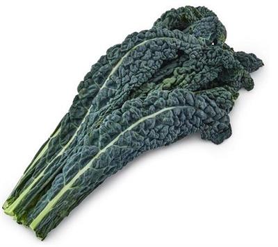 CAVALO NERO KG