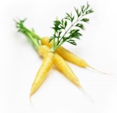 CARROT BABY YELLOW 500GM BAG