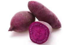 KUMARA PURPLE KG