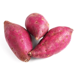 KUMARA RED KG