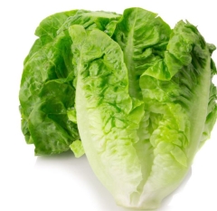 LETTUCE COS EACH