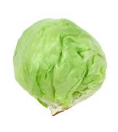 LETTUCE BURGERFUEL 10KG BOX