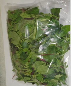 LETTUCE MESCLUN 500GM BAG