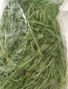 SNOWPEA TENDRILS (FEATHERS) 250GM BAG