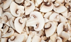 MUSHROOM SLICED KG