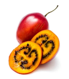 TAMARILLO KG