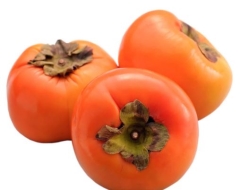 PERSIMMON KG