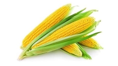 CORN EACH