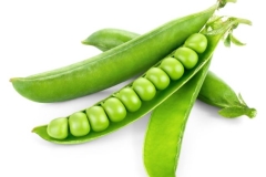 PEAS KG