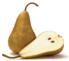 PEAR BROWN KG